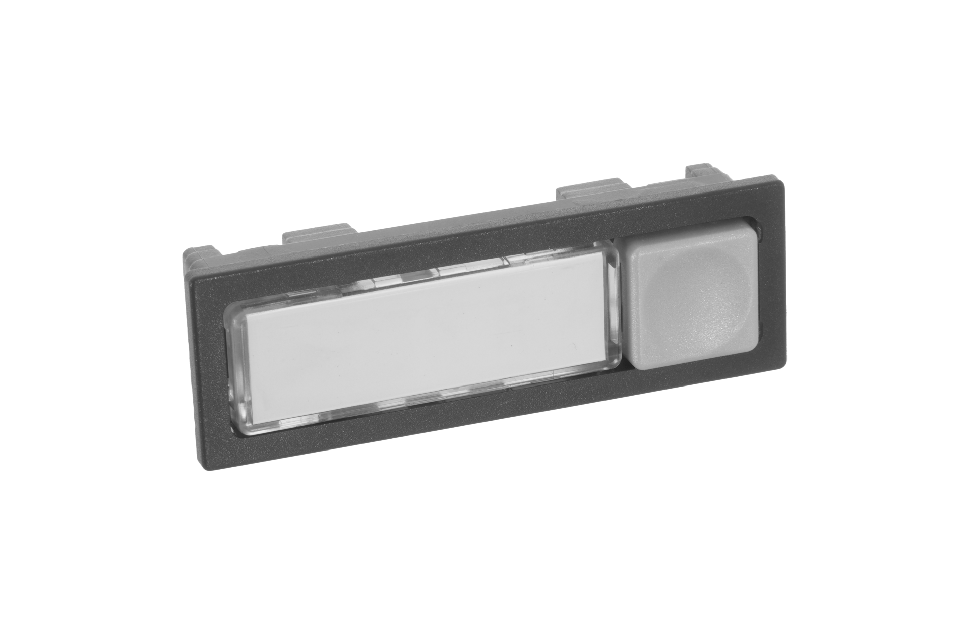 LIRA Namensschildtaster – Außenmaß 55,2x23 Mm, Einbaumaß 52,5x20,8 Mm, Wählbare Gehäusefarbe, Rauchglas, 42V